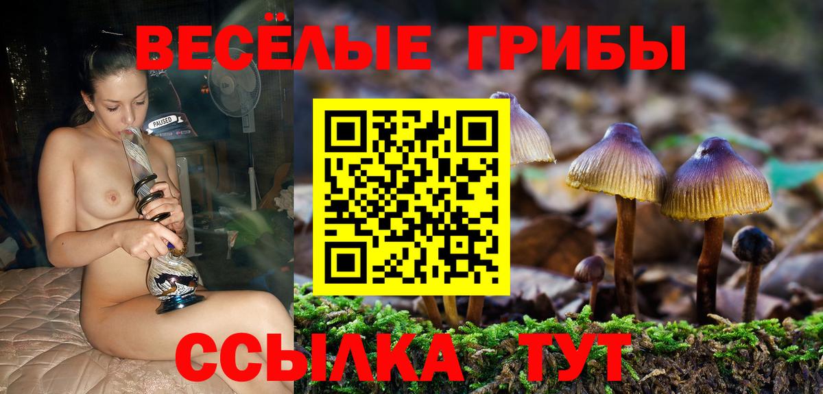 Пыть-Ях  Псилоцибиновые грибы Psilocybine cubensis  Вход с VPN 
